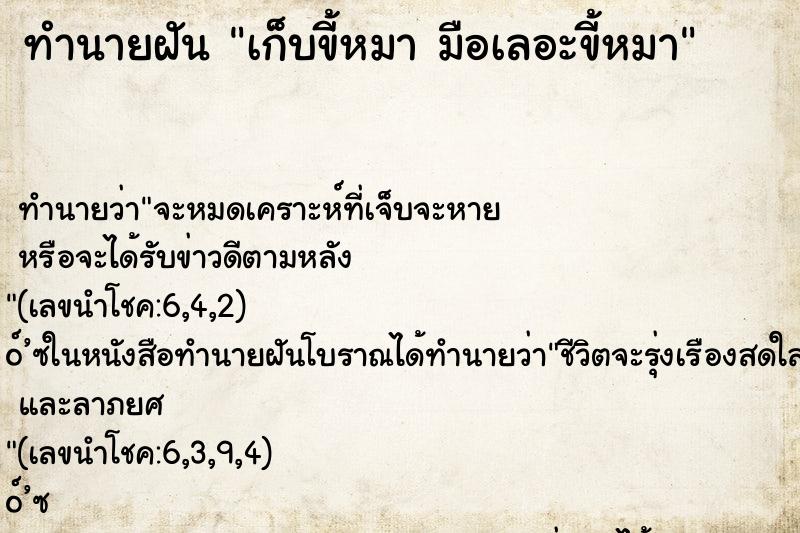 ทำนายฝัน เก็บขี้หมา มือเลอะขี้หมา ทำนายฝัน เก็บขี้หมา มือเลอะขี้หมา
